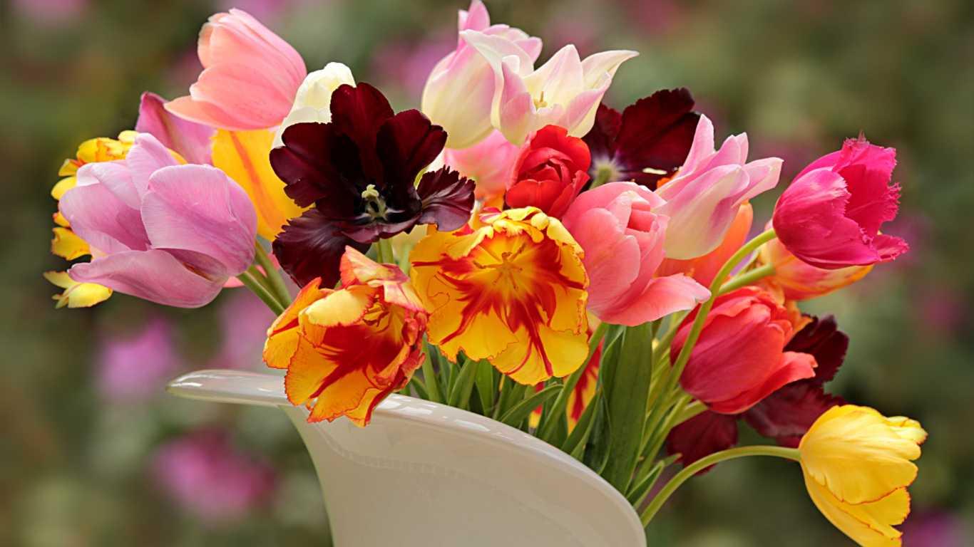 Celebrate Every Occasion with Beautiful Tulips: Flower Delivery in Minneapolis